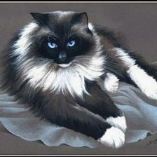 Схема вышивки «КОТ»