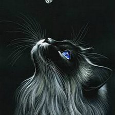 Схема вышивки «Кот»