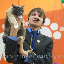 Схема вышивки «судья»