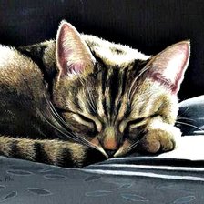 Схема вышивки «№515689»