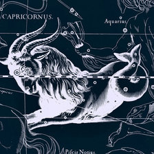 Схема вышивки «козерог»