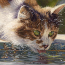 Схема вышивки «№515852»