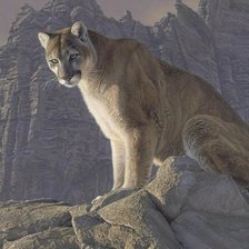 Схема вышивки «Пума»