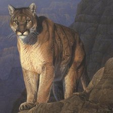 Схема вышивки «Пума»