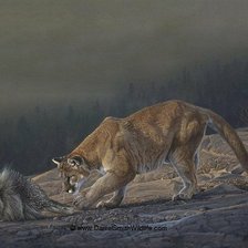 Схема вышивки «Пума»