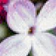 Предпросмотр схемы вышивки «сирень» (№515945)