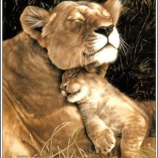 Схема вышивки «Нежность»