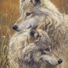 Схема вышивки «Волчья верность»