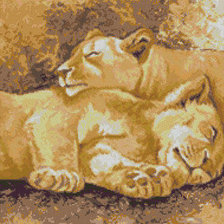 Схема вышивки «пара»