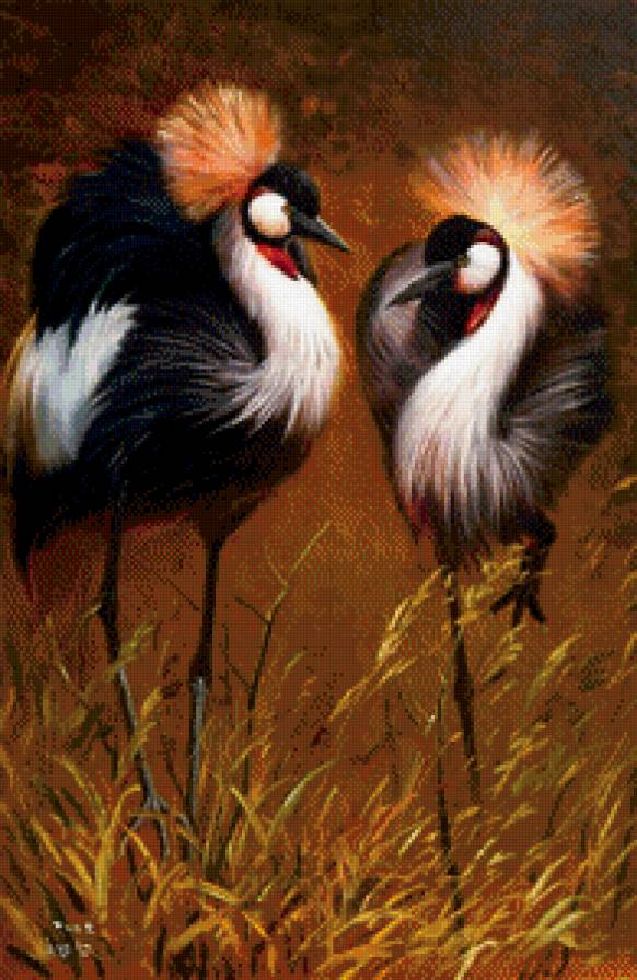 венценосные журавли - нежность, река, журавли, птицы, пара птиц, озеро, природа - предпросмотр