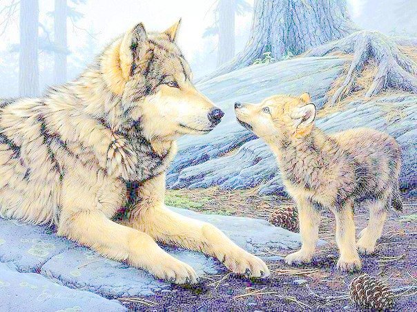 Волчица с детенышем - хищники, волки, животные - оригинал