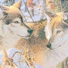 Схема вышивки «Пара хищников»