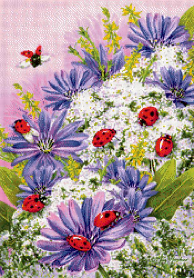 божьи коровки - цветы, луговые цветы, ромашки, носякомые, божья коровка, васильки - предпросмотр