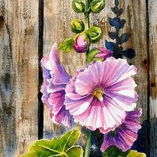 Схема вышивки «Мальва»