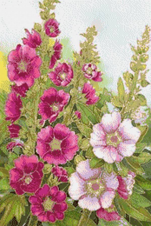 Мальвы - цветы.мальвы, живопись - предпросмотр