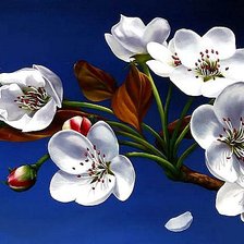 Схема вышивки «Вишневый цвет»