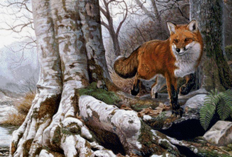 лисичка - лисичка, зима, осень, лиса, дикие животные, природа, дерево, лес - предпросмотр