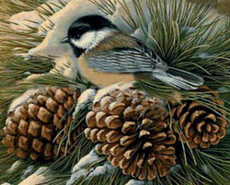 синичка на шишке - осень, синички, снег, птицы, птички, новый год, зима, рождество - предпросмотр