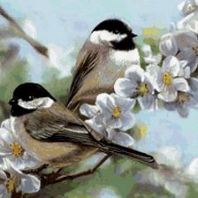 Схема вышивки «воробьи на цветущей яблоне»