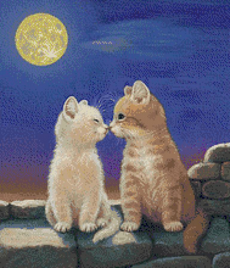 Кошачьи нежности - котенок, пара, деткам, ночь, детское, животные, сказка, кошки - предпросмотр