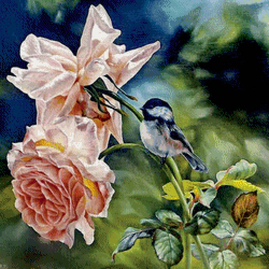 воробей на розе - птичка, воробей, серия птицы, цветок, синичка, роза, лето, ветка - предпросмотр