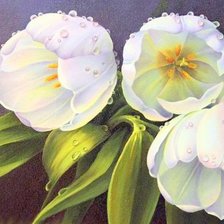 Схема вышивки «Тюльпаны в росе (живопись)»