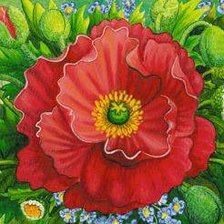 Схема вышивки «маки»