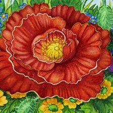 Схема вышивки «маки2»