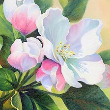 Схема вышивки «Яблоневый цвет (живопись)»