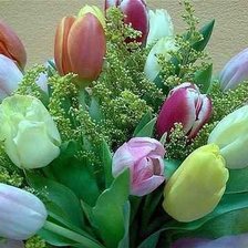 Схема вышивки «Тюльпаны»