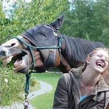 Схема вышивки «Как ржали девушка и лошадь»