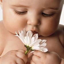 Схема вышивки «№516528»