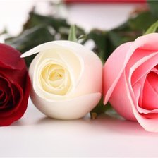 Схема вышивки «Розы»