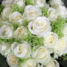 Схема вышивки «Букет роз»