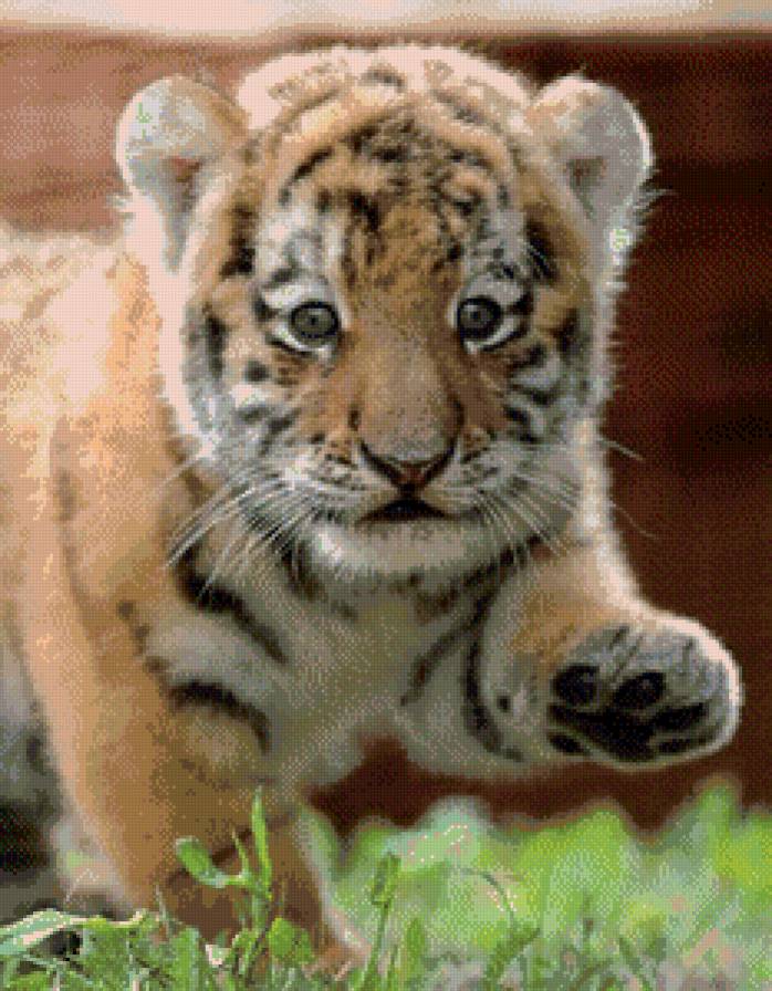 Тигрик - предпросмотр