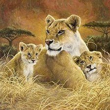 Схема вышивки «Любимая мама»