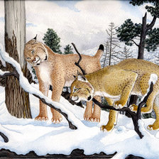 Две Рыси по картине Николая Фомина