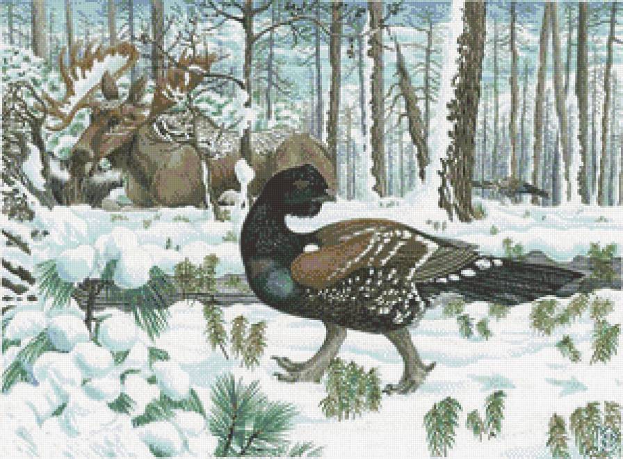 Каменный глухарь по картине Николая Фомина - зима, птички - предпросмотр