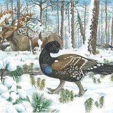 Схема вышивки «Каменный глухарь по картине Николая Фомина»