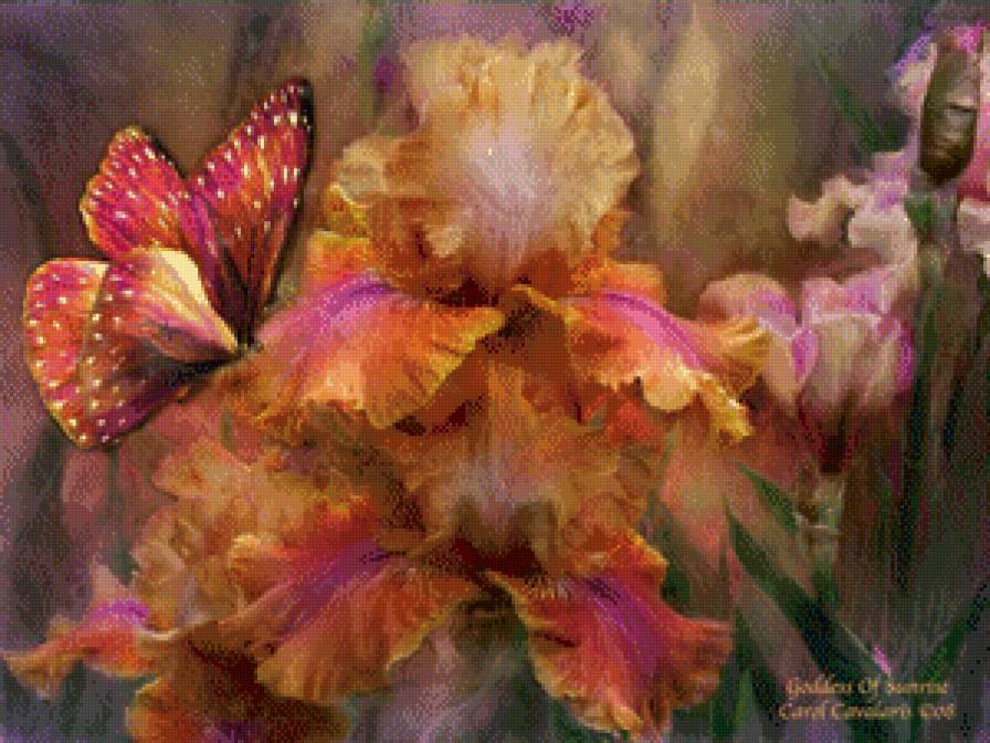 Бабочка и ирис - цветы - предпросмотр