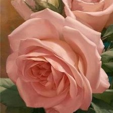 Схема вышивки «Розы»