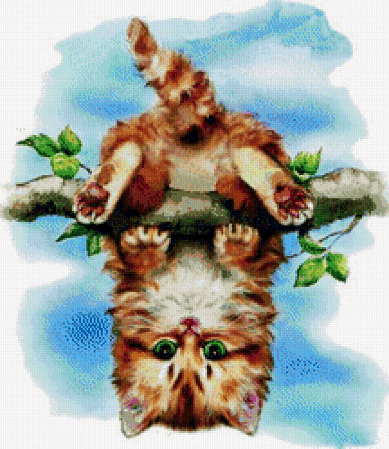 котёнок гимнаст - детские, одуванчики, кот.котенок, цветы, животные - предпросмотр