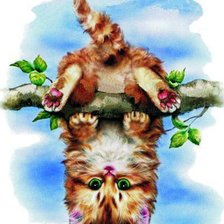 Схема вышивки «котёнок гимнаст»