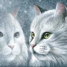 Схема вышивки «белая и пушистая...»