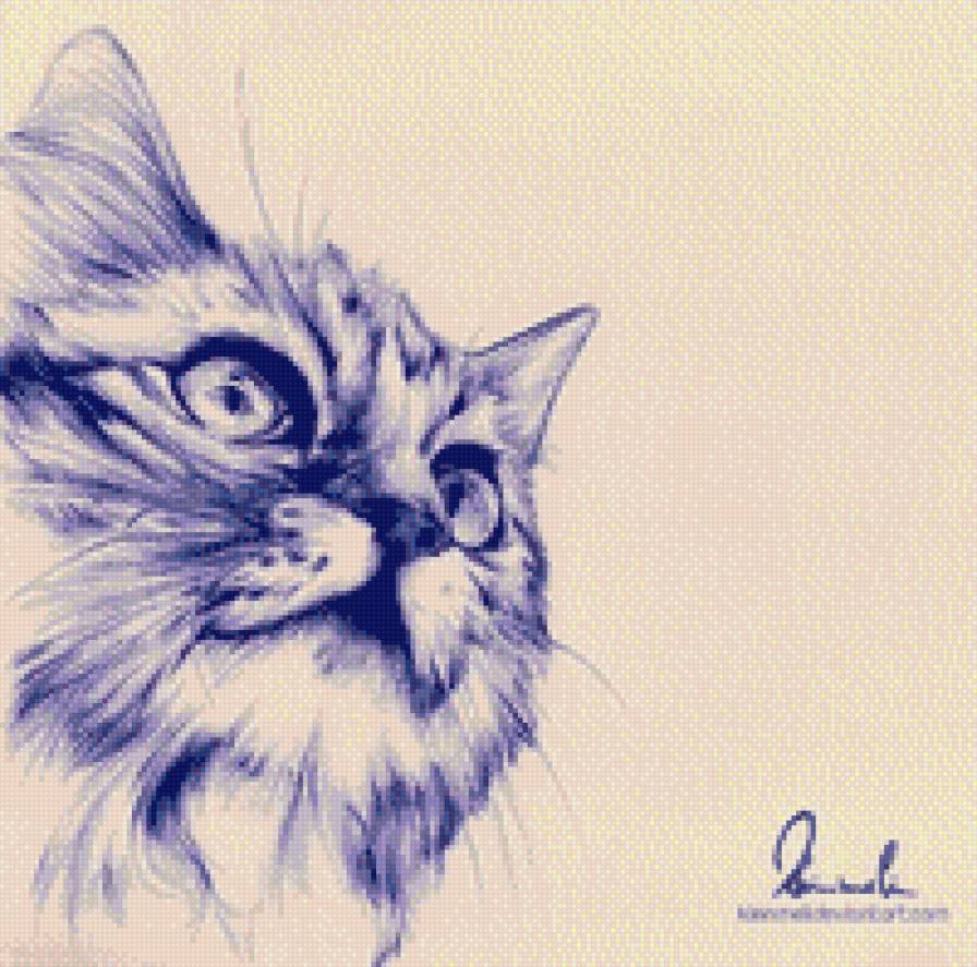 №517097 - кот, животные, кошка - предпросмотр