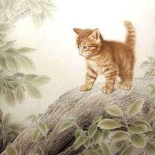 Схема вышивки «котёнок на камне 2»