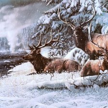 Схема вышивки «олени переправа через реку»