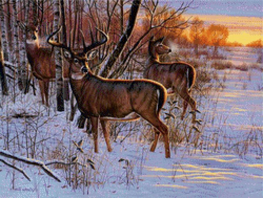 олени на закате - олени, закат, зима, лес, косули, природа, дикие животные - предпросмотр