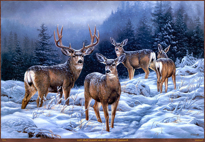 олени - дикие животные, зима, олени, косули, природа, лес, закат - оригинал