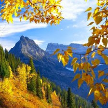 Схема вышивки «природа»